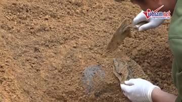 Phát hiện 7 hài cốt liệt sĩ khi đang làm vườn ở Đồng Nai