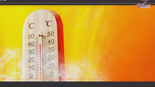 Thế giới 7 ngày: Nắng nóng trở thành 'kẻ sát nhân hàng loạt'
