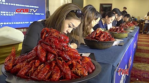 Việc nhẹ lương cao: Chỉ ăn hải sản, nhận lương 75.000 USD