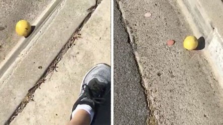 Cư dân mạng phát sốt vì clip quả chanh lăn xuống dốc