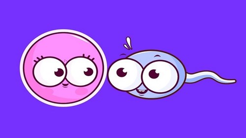 Dấu hiệu sớm nhận biết trứng được thụ tinh, bạn đã là 'mẹ bầu'