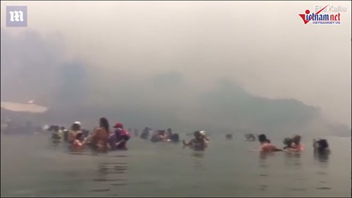 Người Hy Lạp ôm nhau dầm nước dưới biển tránh cháy rừng