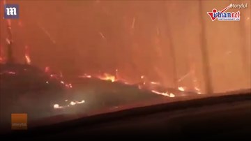 Thoát chết trong gang tấc khi lái xe băng qua biển lửa cháy rừng ở Mỹ