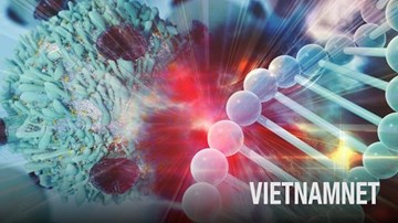 Vì sao ung thư lại khó điều trị như vậy?