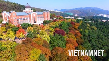 Cảnh đẹp ngất ngây ở nơi là bối cảnh của hàng trăm phim Hàn nổi tiếng