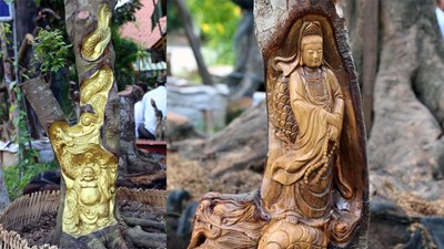 Kỳ lạ Miền Tây: Tượng Phật Di Lặc hiện hình trên cây khế già