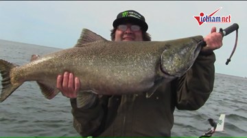 Cần thủ Mỹ câu được cá hồi vua to như quái vật