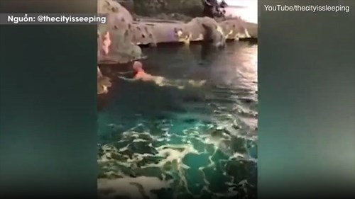 Khỏa thân nhảy vào bể cá mập, người đàn ông bị cảnh sát truy lùng
