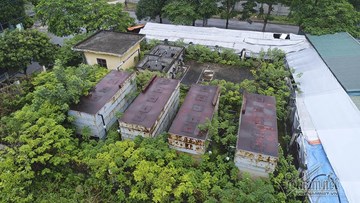 Rừng rậm bao phủ công trình tiền tỷ 10 năm hoang tàn giữa Hà Nội