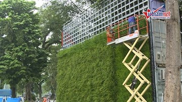 Trồng lúa trên tường, công nghệ không thể tin nổi