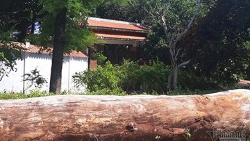 Cổng biệt phủ trăm tỷ xây trái phép của đại gia vàng la liệt gỗ quý