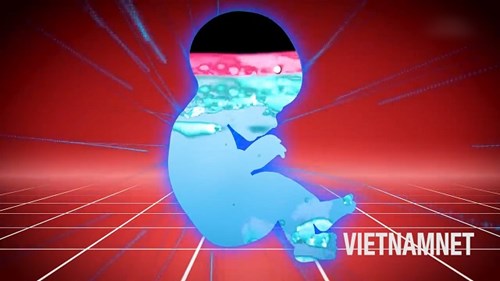 Vì sao trẻ sơ sinh uống nước có thể dẫn tới tử vong?