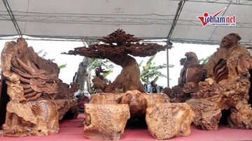 Trăm người hiếu kì đến ngắm bộ Kỳ mộc hình Rùa Hồ Gươm gần 4 tỷ