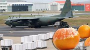 Hàn Quốc dùng máy bay quân sự chở quýt tặng Triều Tiên