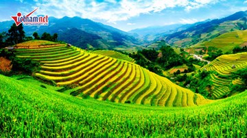 Ngắm những đồng ruộng bậc thang đẹp ngất ngây ở Philippines