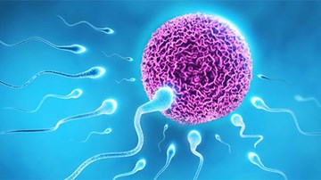 Ứng dụng điện thoại giúp nam giới hết tự ti khi đi điều trị hiếm muộn
