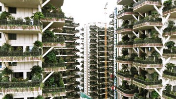 Trung Quốc ra mắt 'chung cư trong rừng cây', giá 'cắt cổ' vẫn thu hút khách