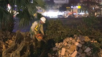 Công nhân ngày đêm đánh chuyển cây, gấp rút mở rộng đường Láng