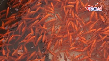 'Đột nhập' làng chế tạo 'phương tiện' cho ông Công, ông Táo