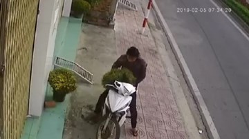 Người đàn ông ngang nhiên bê trộm hai chậu hoa vào sáng mùng 1 Tết