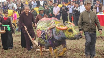 Phó Thủ tướng Trương Hòa Bình xuống đồng cày ruộng ở lễ Tịch điền