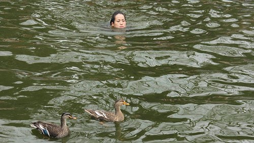 Quý cô chơi trội nhảy ùm xuống ao bắt vịt tại lễ hội