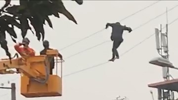 Thót tim người đàn ông làm xiếc trên dây điện cao thế