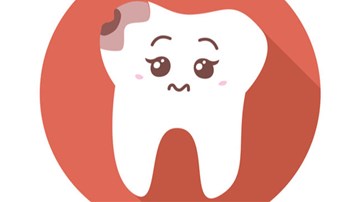 Động vật thay cả nghìn cái răng, tại sao răng người không mọc lại?