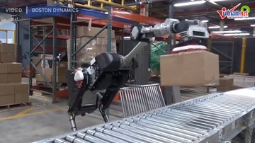 Robot bốc dỡ hàng hóa siêu nhanh và chính xác