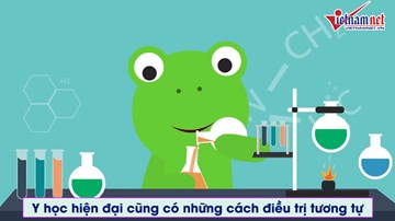 Bạn có biết 'ăn phân' lại có thể chữa bệnh rất hiệu quả