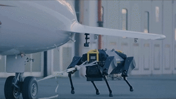 Xem chó robot kéo máy bay chạy trên đường băng