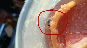 Bà bầu phát hiện ruồi trong cốc trà sữa trái cây, cửa hàng bị đóng cửa