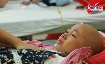 Mùa hè đặc biệt của những 'chiến binh nhí' kiên cường