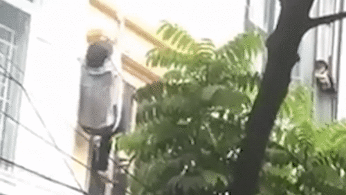 Nam thanh niên ngáo đá đu dây bên ngoài nhà cao tầng