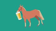 Phân ngựa được 'hô biến' thành bia như thế nào?
