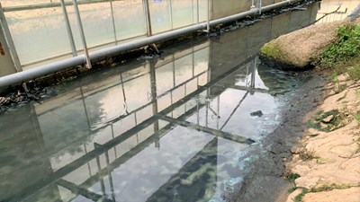 Dùng công nghệ Nhật: Sông Tô Lịch nước trong, nhìn rõ đáy bùn đang phân huỷ