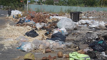 Dân Đà Nẵng khốn khổ vì bãi rác tự phát dài 150m gây ô nhiễm