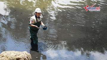 Chuyên gia Nhật: Đã có cách giữ vi sinh vật không trôi theo nước hồ Tây