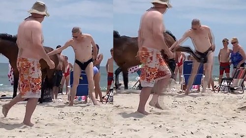 Du khách đau đớn khi bị ngựa hoang đá đúng 'chỗ hiểm'