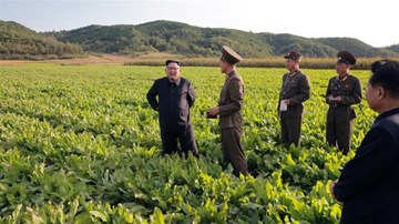 Nhận diện 'vũ khí bay không xác định' Triều Tiên vừa thử