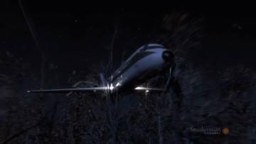 Bất đồng ý kiến, 2 phi công khiến máy bay đâm thẳng xuống rừng