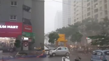 Mưa giông khiến cây đổ la liệt giữa phố Hà Nội, 1 người tử vong