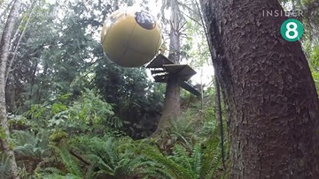 Top 8 ngôi nhà trên cây ai cũng muốn đến ở một lần