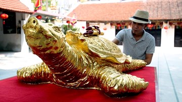 Chiêm ngưỡng cụ rùa vàng khổng lồ nặng gần 2 tạ giá trăm triệu đồng