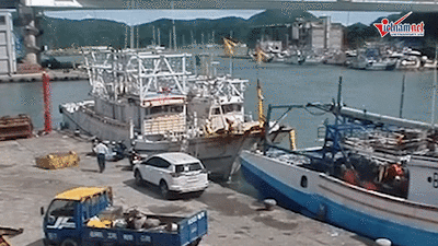 Khoảng khắc cây cầu bất ngờ sập, đè bẹp nhiều tàu cá ở Đài Loan