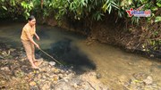 Nước sạch Hà Nội có mùi lạ: Nghi vấn đổ dầu thải ở đầu nguồn nước sông Đà