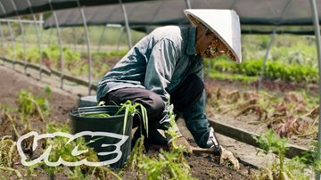 Báo Mỹ ca ngợi những người hùng thầm lặng mang món Việt tới New Orleans