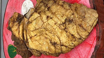 Một năm sau, ngư dân nghèo mới biết 'bãi nôn cá voi' giá 7,5 tỷ đồng