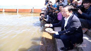 Bộ trưởng Trần Hồng Hà ra hồ Tây cho cá ăn