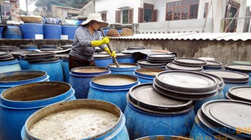 Ngư dân Nam Ô chật vật bảo tồn và sản xuất nước mắm truyền thống